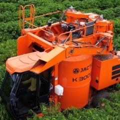 Recorde de mecanização transforma colheita de café conilon no Espírito Santo em 2025