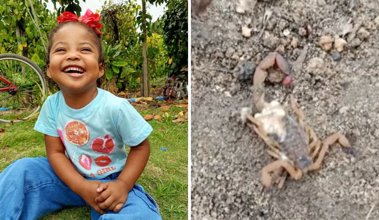 A menina Isabelly Almeida Silva foi picada por escorpião em distrito de São Mateus