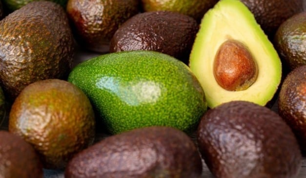 31 cidades capixabas produzem o abacate. Foto; Freepik