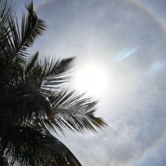 Halo solar