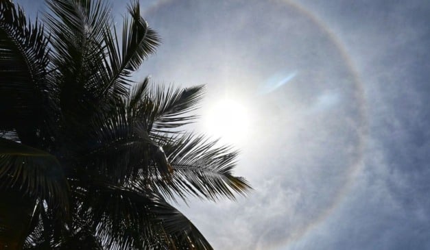 Halo solar