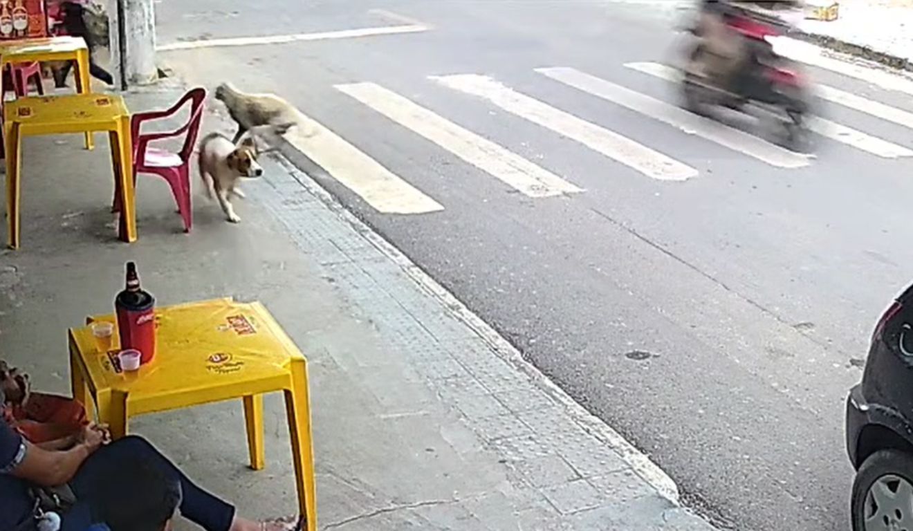 Câmera flagrou criminosos passando de moto e atirando em frente a um bar em Belvedere. Foto: Reprodução/TV Vitória