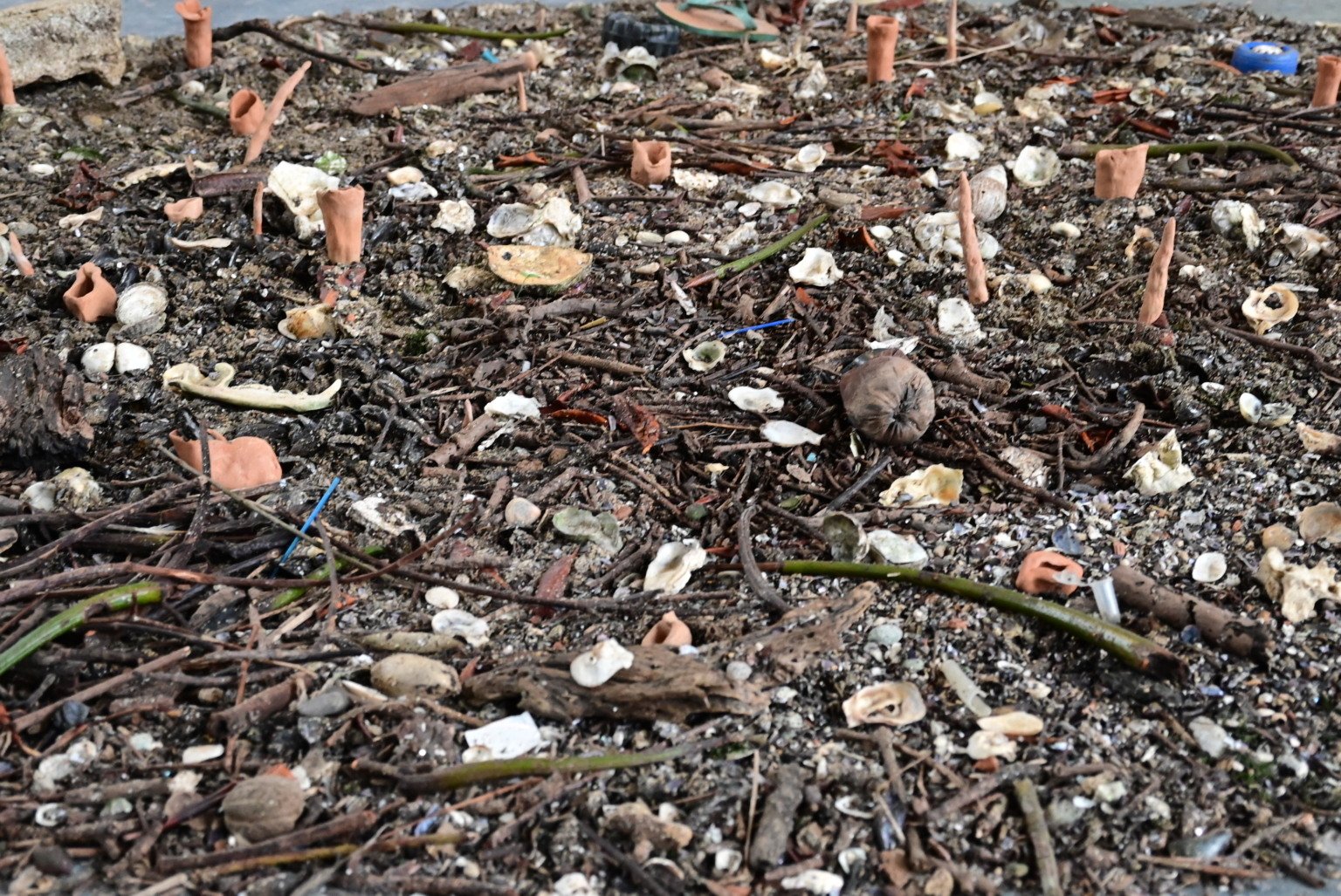 Baía de Vitória outras imagens possíveis coletiva armazém 5