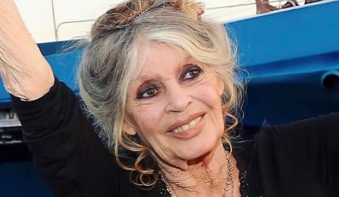 Brigitte Bardot passou por cirurgia aos 91 anos (Foto: Reprodução/Instagram/@brigittebardotpage) Brigitte Bardot passou por cirurgia aos 91 anos (Foto: Reprodução/Instagram/@brigittebardotpage)
