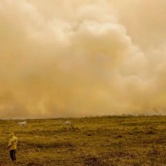 Pesquisadores apontam que mudanças climáticas ameaçam vidas