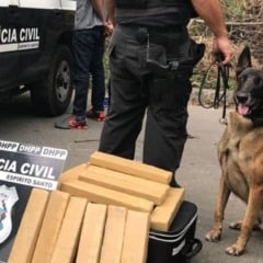 Foto: Polícia Civil/ Reprodução