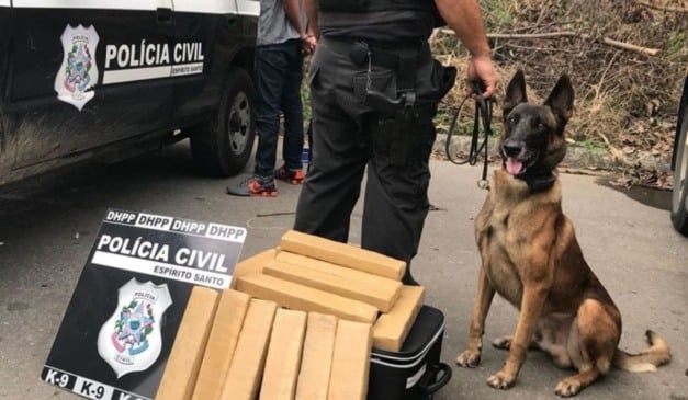 Foto: Polícia Civil/ Reprodução