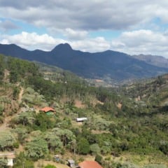 Parque Nacional do Caparaó (Foto: Divulgação)