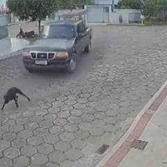 Foto: Reprodução/TV Vitória