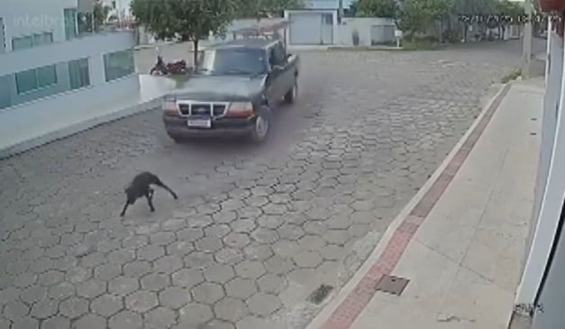 Foto: Reprodução/TV Vitória