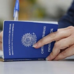 Das vagas, 22 são para estágios e 28 são para empregos. Foto: Tatiana Fortes/ Gov Ceará