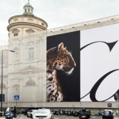 Foto: Cartier Panthère @ divulgação
