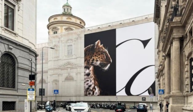 Foto: Cartier Panthère @ divulgação