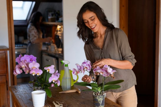 Casca de ovo nas orquídeas - Foto by Freepik
