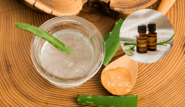 O óleo de babosa caseiro é uma alternativa natural para hidratar o cabelo e nutrir a pele/Canva