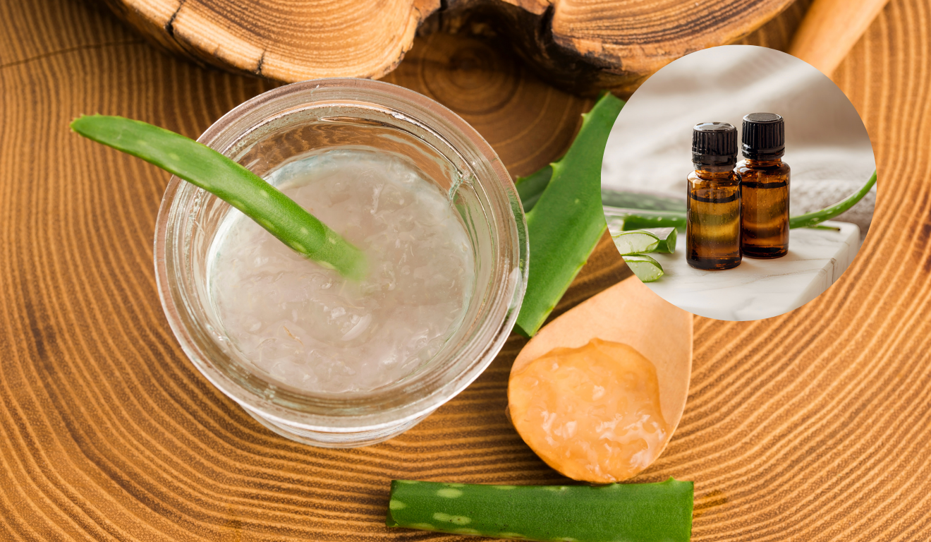 O óleo de babosa caseiro é uma alternativa natural para hidratar o cabelo e nutrir a pele/Canva