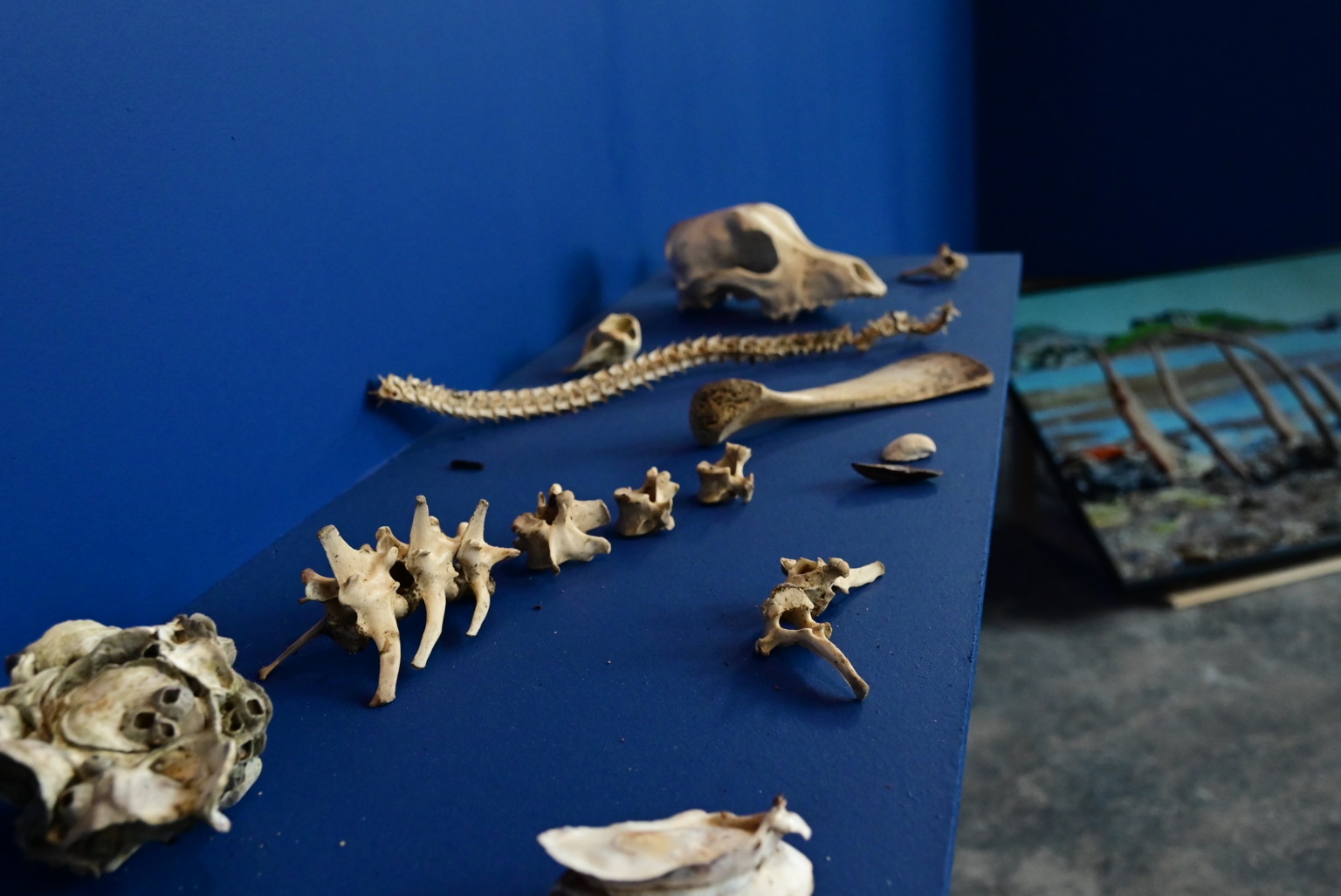 Baía de Vitória outras imagens possíveis coletiva armazém 5