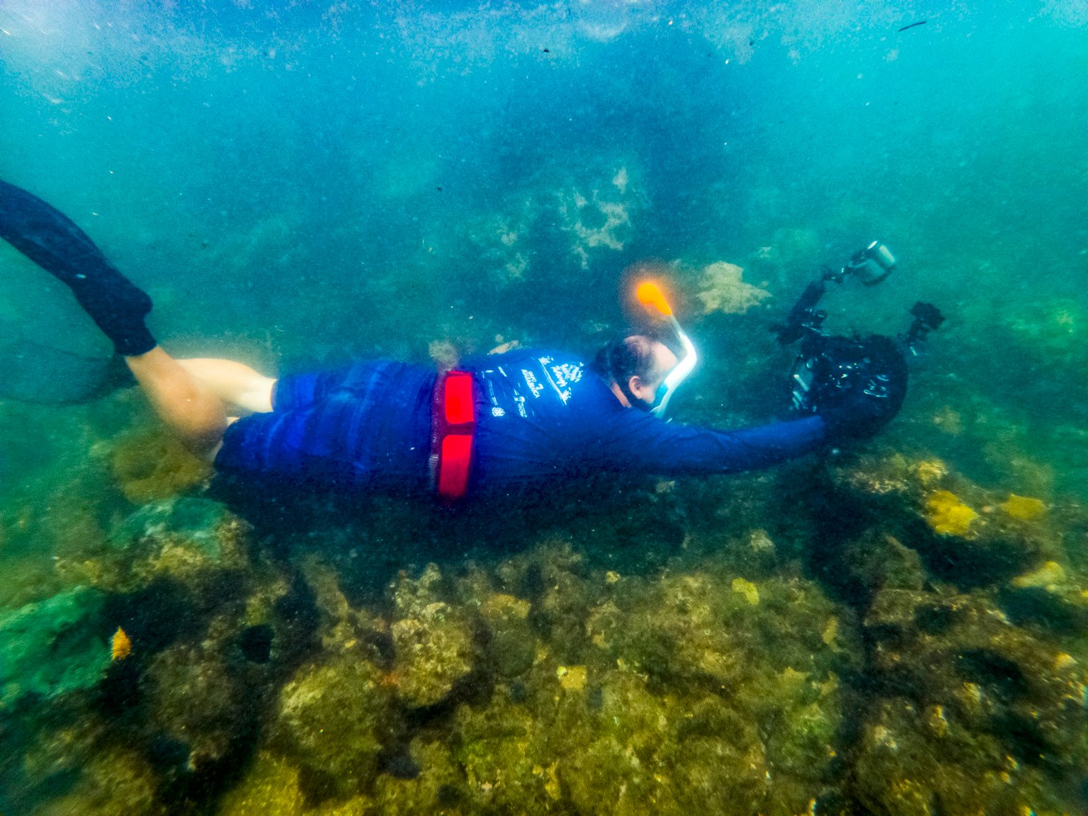 C:DCIM100GOPROGOPR3942.GPR