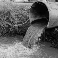 Esgoto jogado no meio ambiente Esgoto jogado no meio ambiente