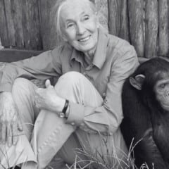 Jane Goodall (Foto/reprodução: X)