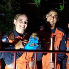 Cachorrinha é resgatada na Serra (Foto/divulgação: SESP)