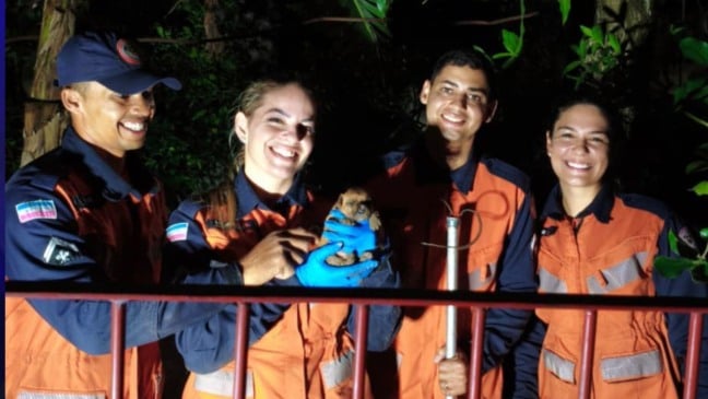 Cachorrinha é resgatada na Serra (Foto/divulgação: SESP)