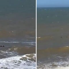 Jovem é resgatado de afogamento em Vila Velha (Foto/reprodução: TV Vitória)