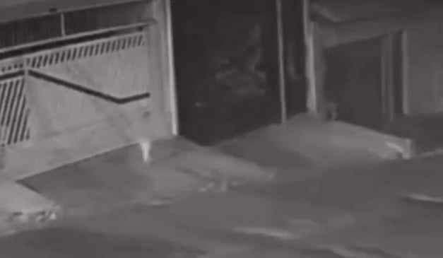 Grávida que caminhava com criança é atropelada em SP