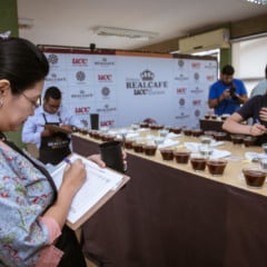 Concurso de qualidade vai eleger os melhores cafés das montanhas capixabas da safra 2025/26