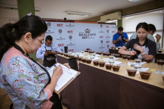 Concurso de qualidade vai eleger os melhores cafés das montanhas capixabas da safra 2025/26