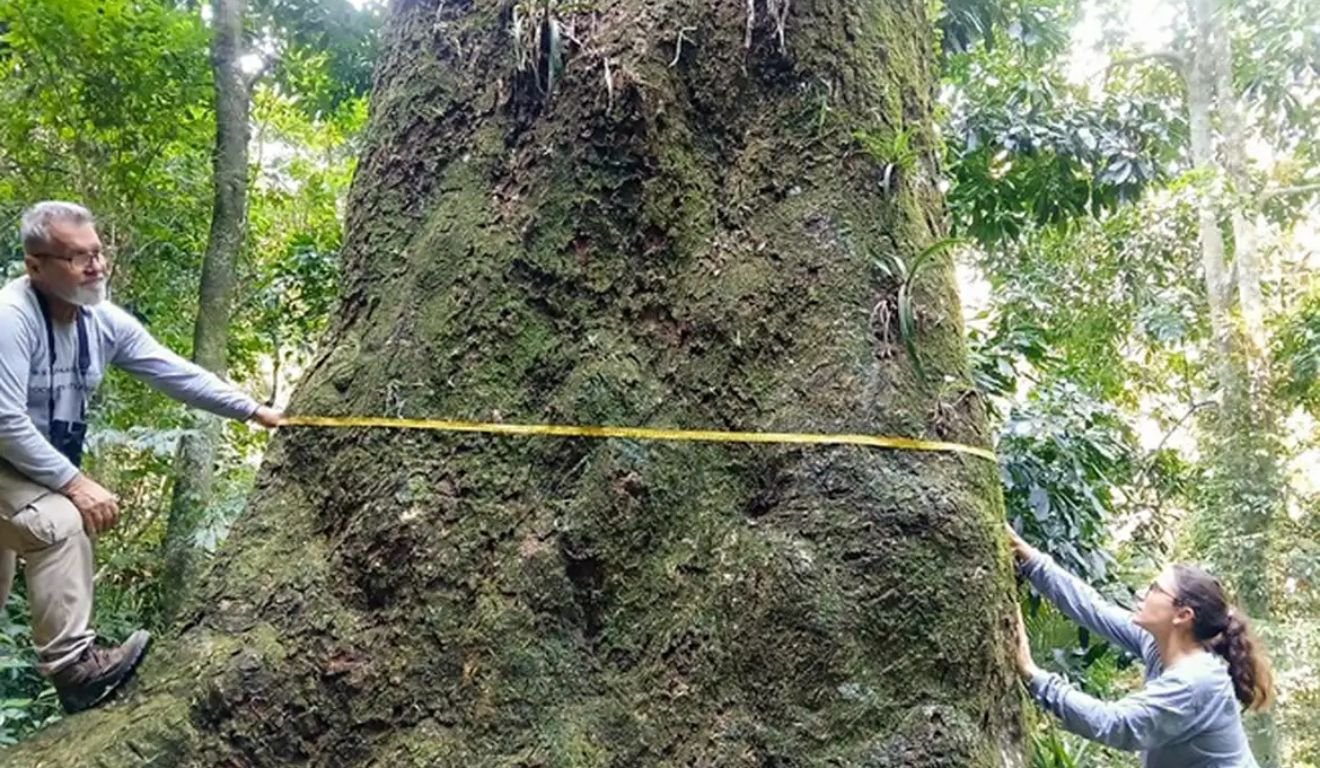 Foto: Fiocruz/Divulgação