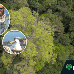 Do Caparaó à Amazônia: lições de uma psicóloga que percorreu o Brasil pela saúde mental