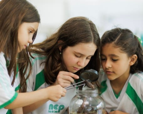 Foto: Reprodução / Escola NEP