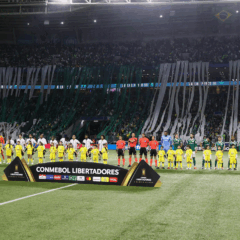 O time da SE Palmeiras, em jogo contra a equipe da Liga Desportiva Universitaria, durante partida válida pelas semi final, volta, da Copa Libertadores, na arena Allianz Parque. (Foto: Cesar Greco/Palmeiras/by Canon)