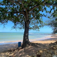 Praia Curva da Baleia