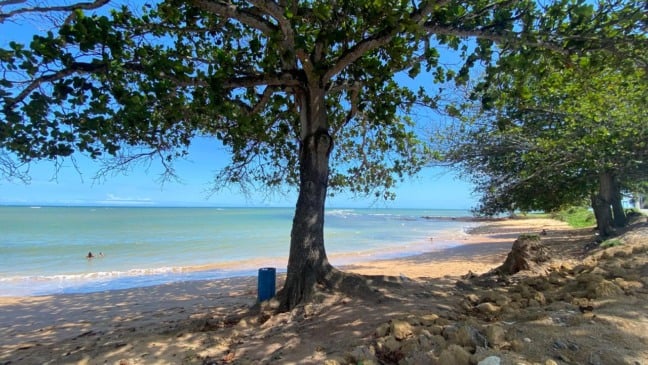 Praia Curva da Baleia