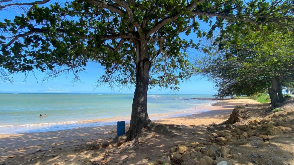 Praia Curva da Baleia