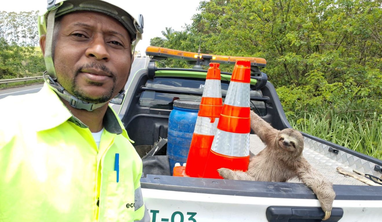 Preguiça com funcionário