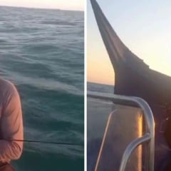 Ronald Menezes improvisou vela no barco à deriva