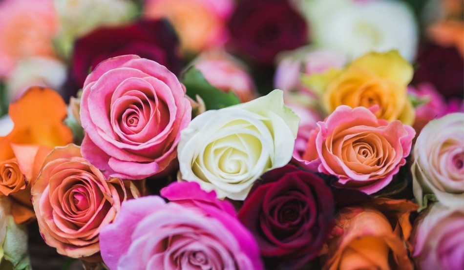 Foto: Reprodução Canva