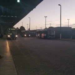 Foto:  Ivo de Souza de Oliveira