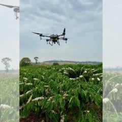 Foto: Divulgação/Laboratório de Mecanização e Defensivos Agrícolas (LMDA)
