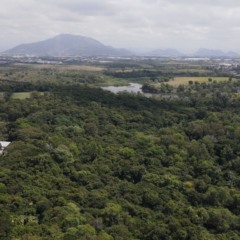 Foto: Divulgação/Amman