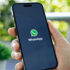 Foto: Reprodução / Internet