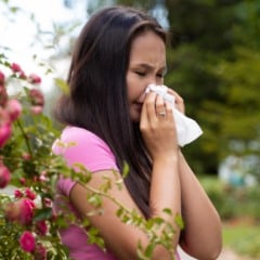 alergia nasal