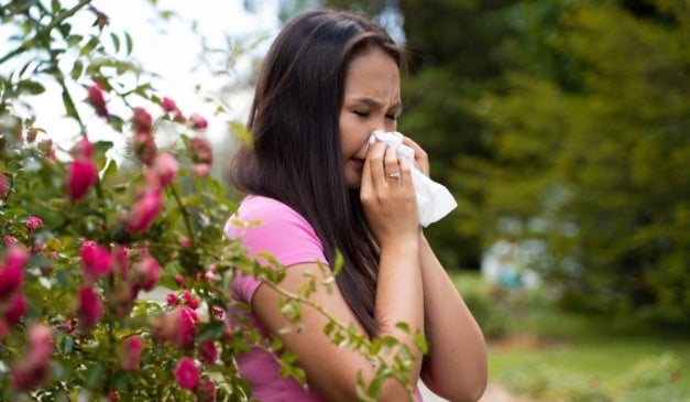 alergia nasal alergia nasal