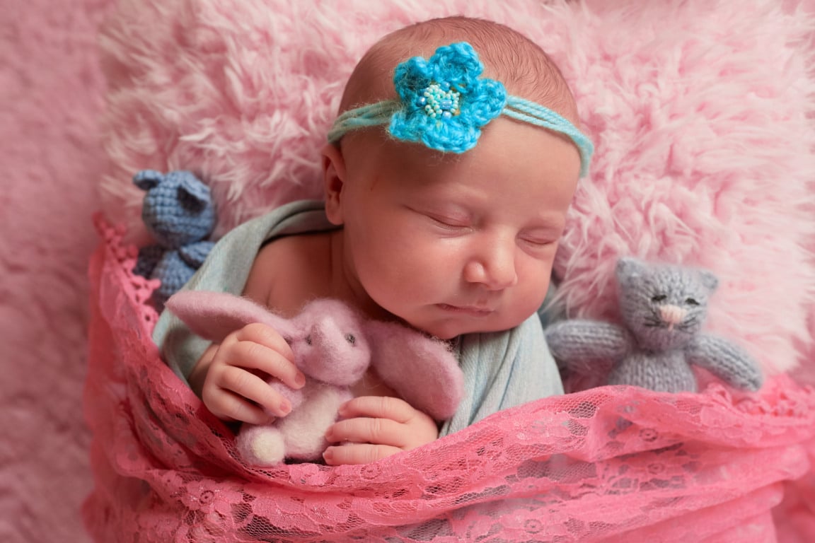 Foto: Freepik Foto: Freepik