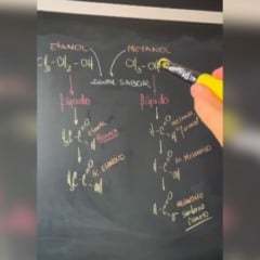 Imagem: Reprodução vídeo/Instagram @guilhermequimica