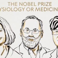 ganhadores prêmio nobel