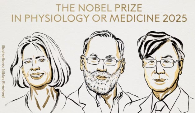 ganhadores prêmio nobel